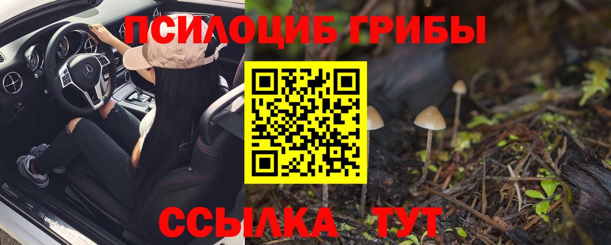 Псилоцибиновые грибы прущие грибы Воскресенск